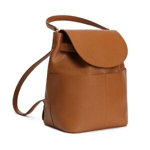 Cuyana Leather backpack